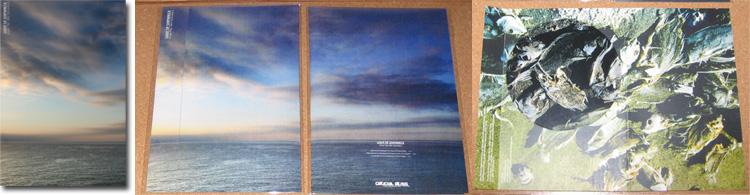 LIGHT OF SHIPWRECK From The Idle Cylinders CD-R 