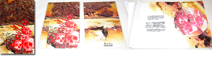 YES COLLAPSE Final Diagnosis CD-R 